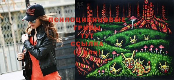 хмурый Карталы