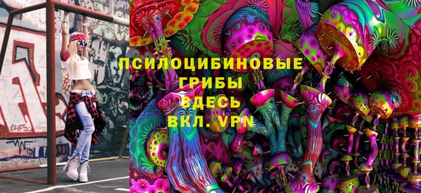 стафф Карпинск