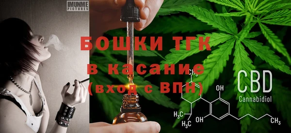 стафф Карпинск